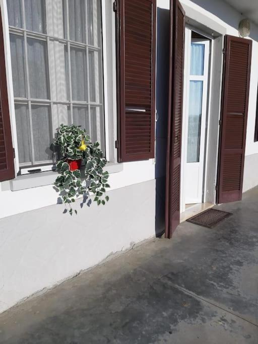Casa Bruna San Martino Alfieri 외부 사진